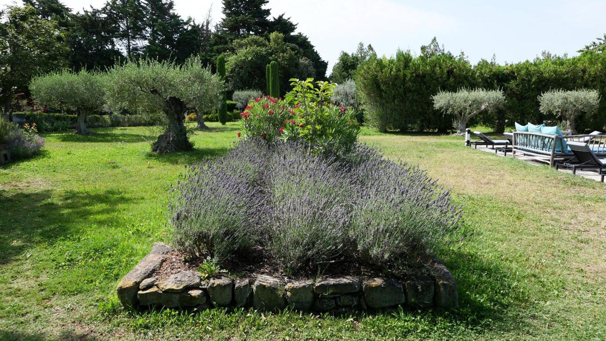 Typical Provencal Farm House Close To L'Isle Sur La Sorgue - 12 Persons Кавайон Екстериор снимка