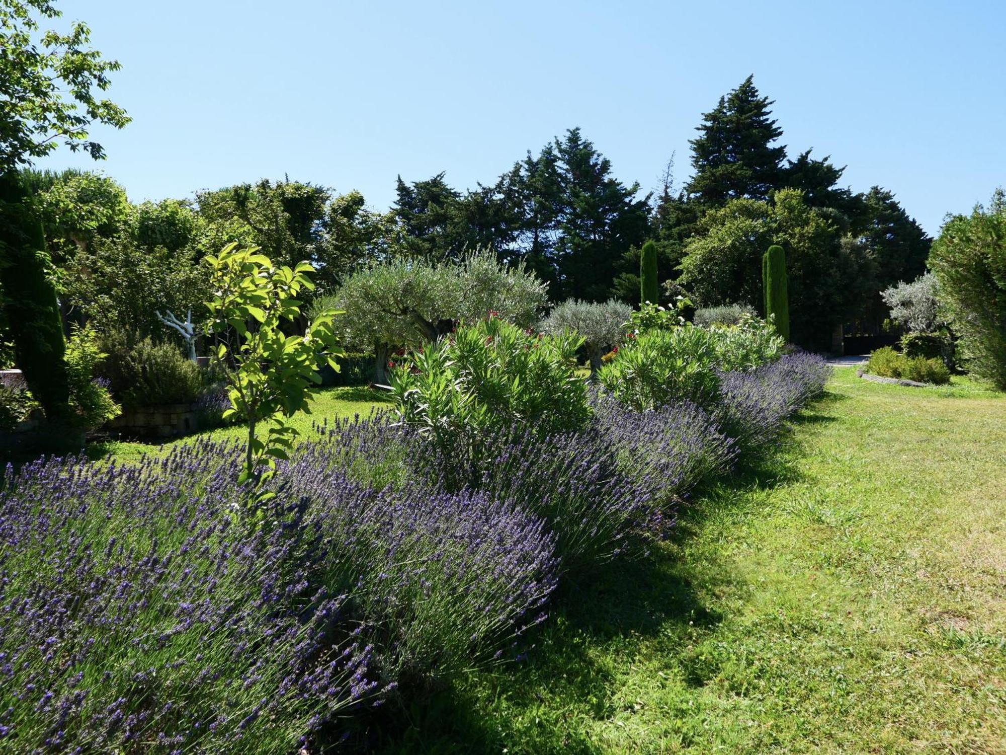 Typical Provencal Farm House Close To L'Isle Sur La Sorgue - 12 Persons Кавайон Екстериор снимка